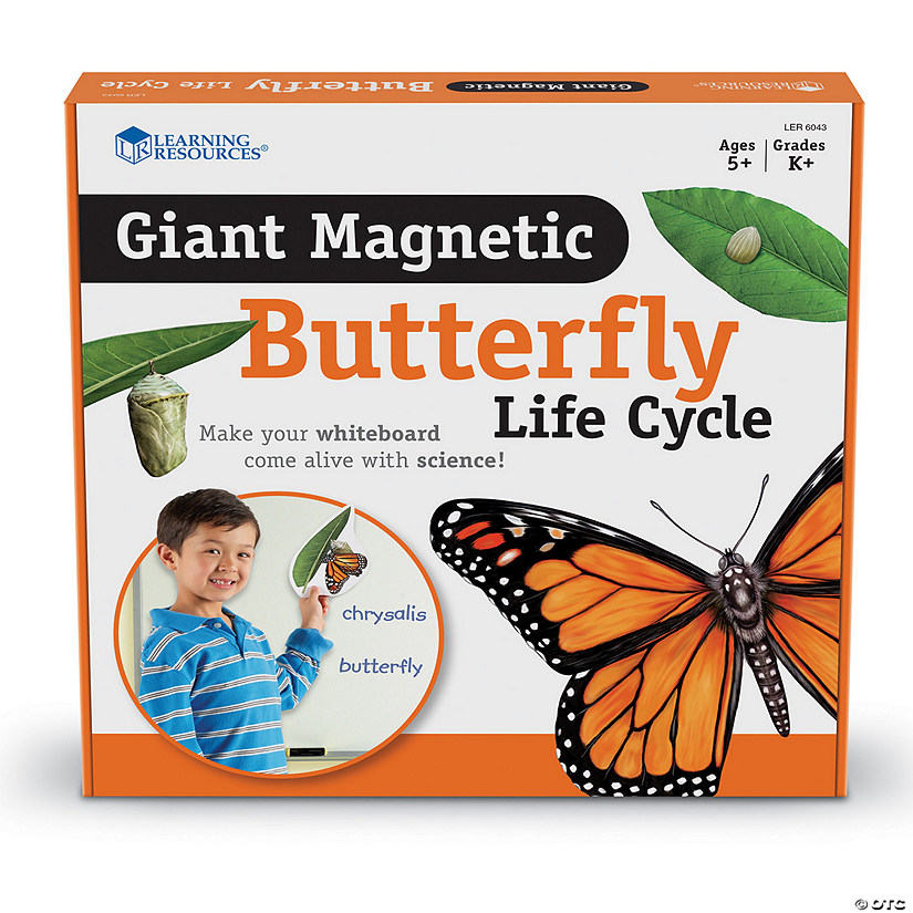 Learning Resources Giant Magnetic Butterfly Life Cycle, Set of 9 Image
