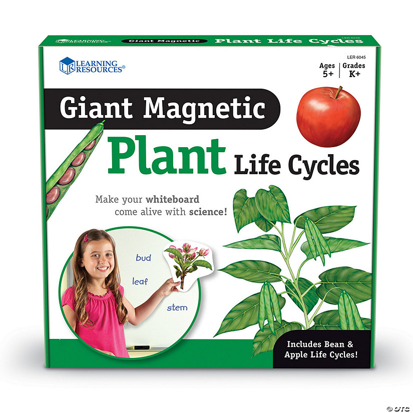 Learning Resources Giant Magnetic Plant Life Cycle, Set of 12 Image