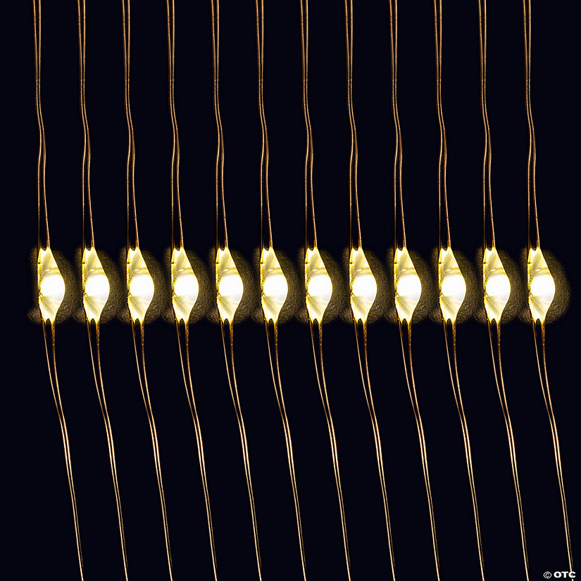 LED Fairy Lights - 12 Pc. Image