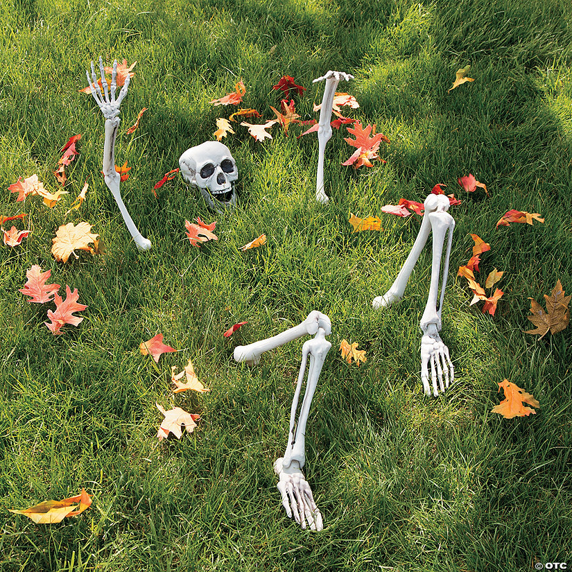 Life-Size Skeleton Yard Halloween Decoration Image
