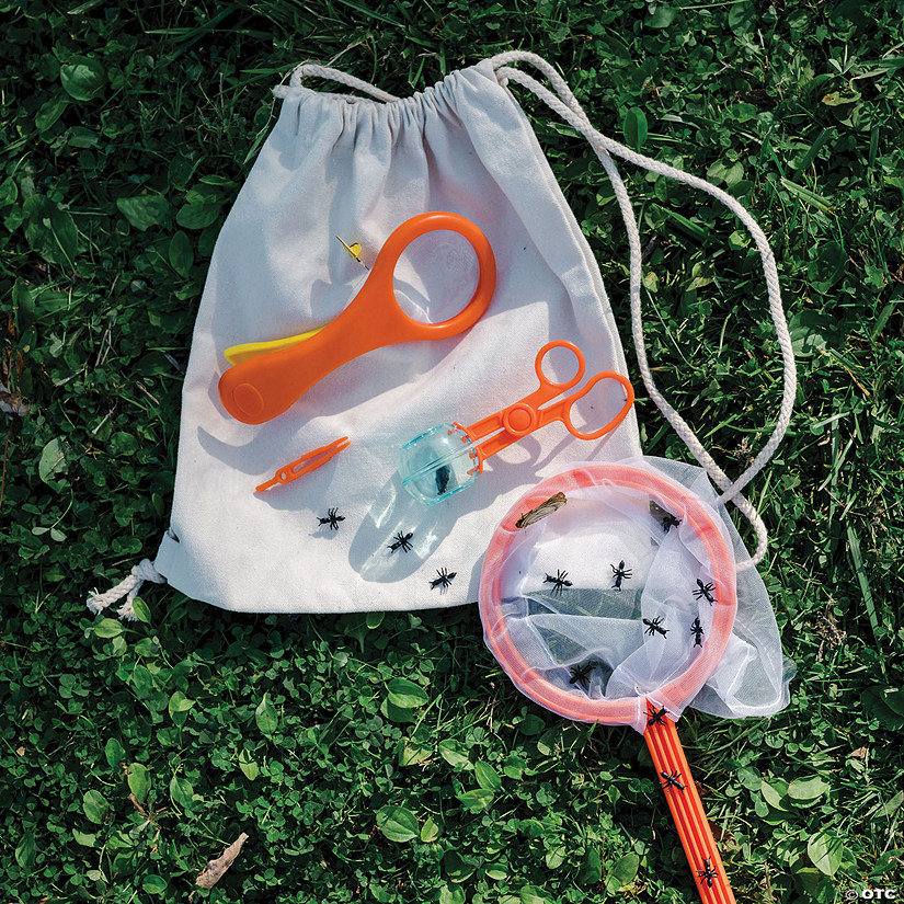 Lil' Bug Catcher Tool Set Image
