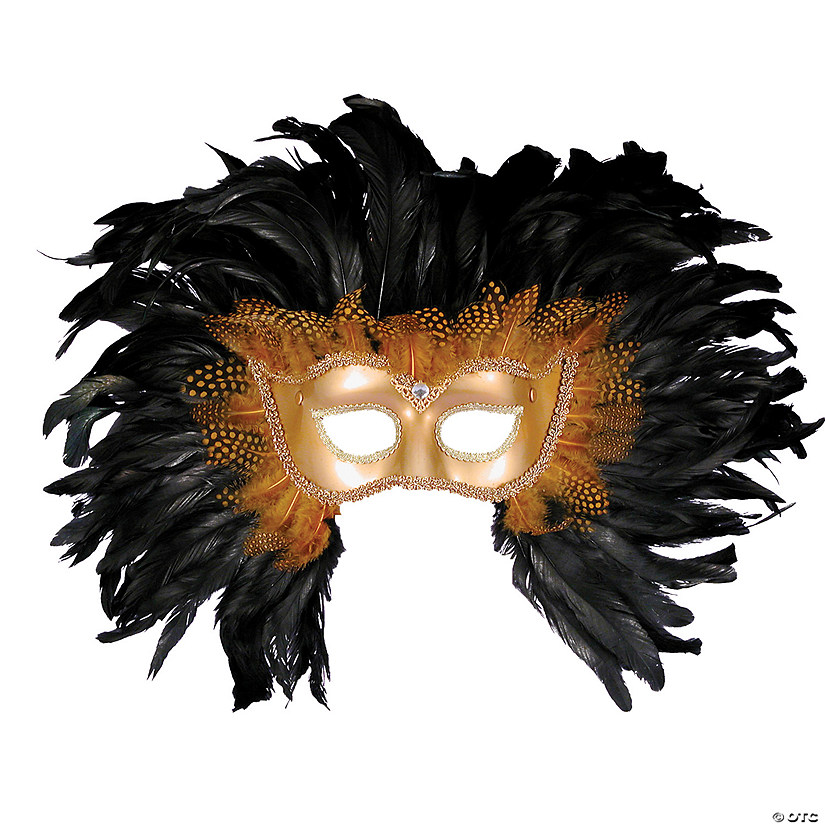 Lion Mask Image