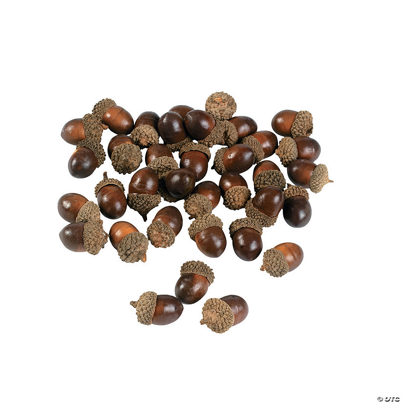 Loose Bag of Acorns Image
