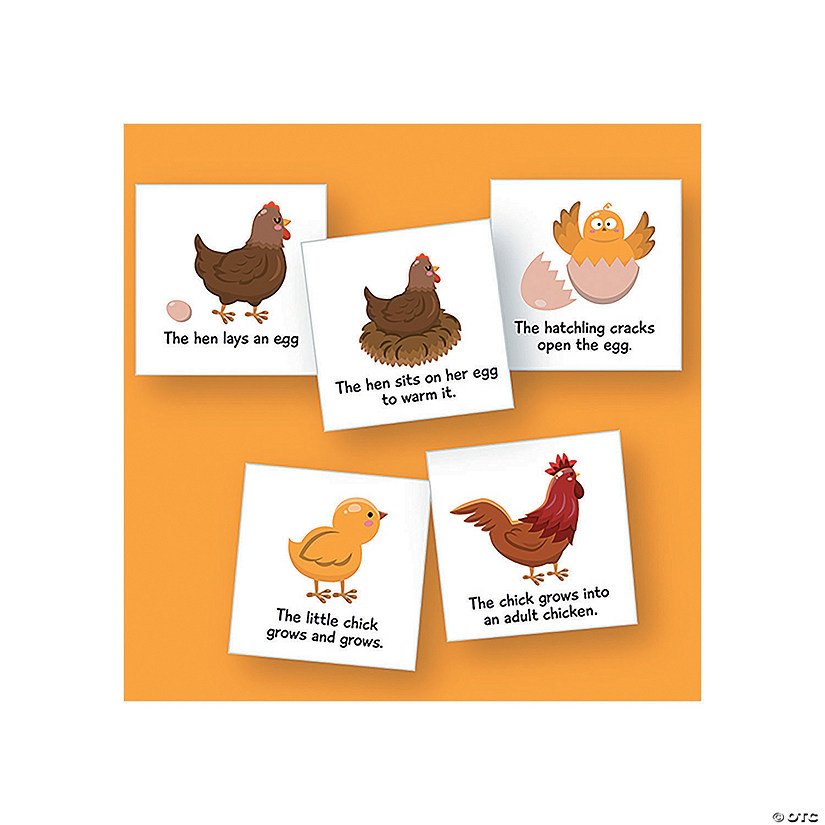 Magnetic Life Cycles - Chicken - 5 Pc. Image