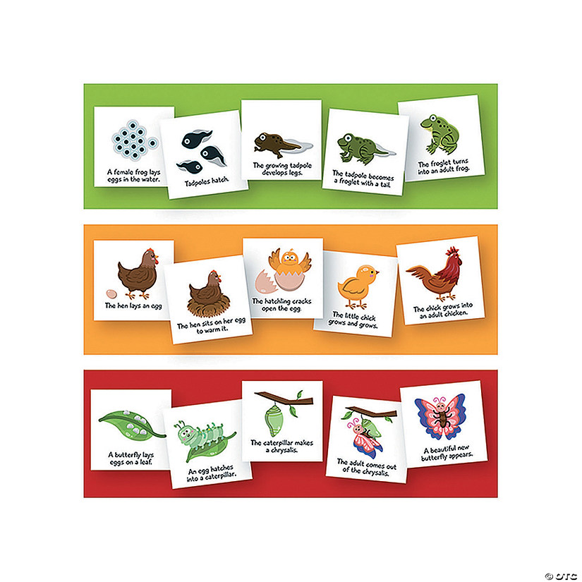 Magnetic Science Whiteboards Set Image