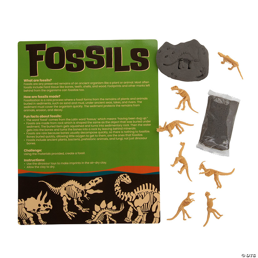 Make Your Own Fossil Craft Kit - Makes 12 Image