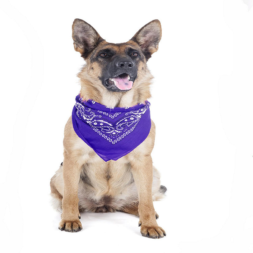 Mechaly 4 Pack Paisley Polyester Pets Dogs Bandana Triangle Shape  - Oversized (Purple) Image