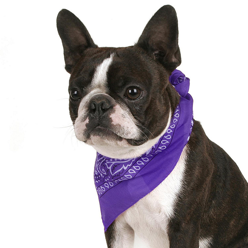 Mechaly Pack of 8 Paisley Cotton Dog Bandana Triangle Shape  - Fits Most Pets (Purple) Image