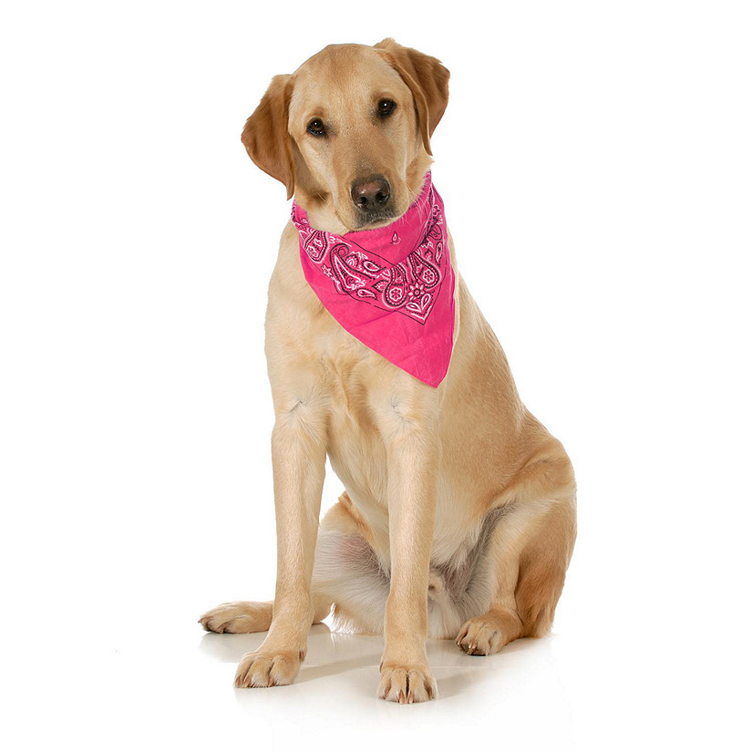 Mechaly Paisley Cotton Dog Scarf Triangle Bibs  - XL & Washable (Hot Pink) Image
