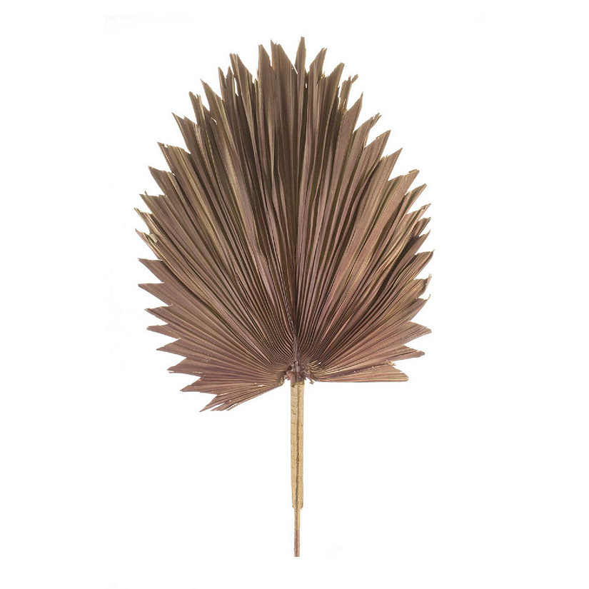 Melrose Home Decorative Fan Palm Leaf (Set of 6) 42"H Natural Palm Image