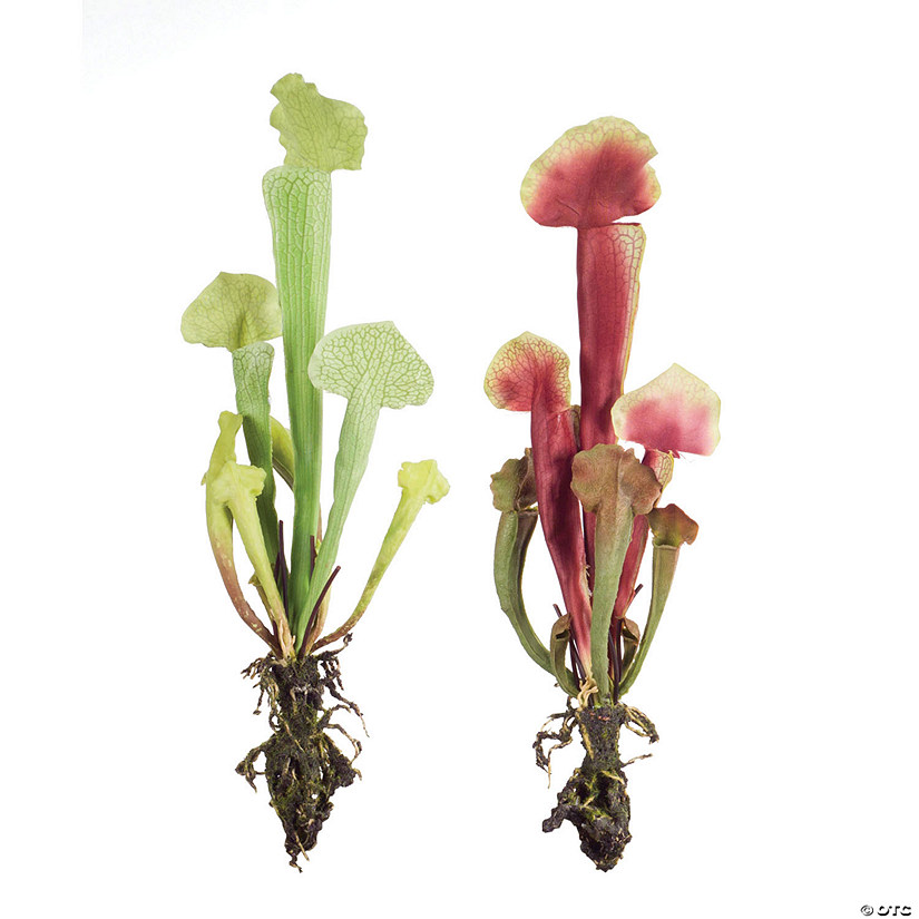 Melrose International Cobra Lily Artificial Plant (Set of 12) Image