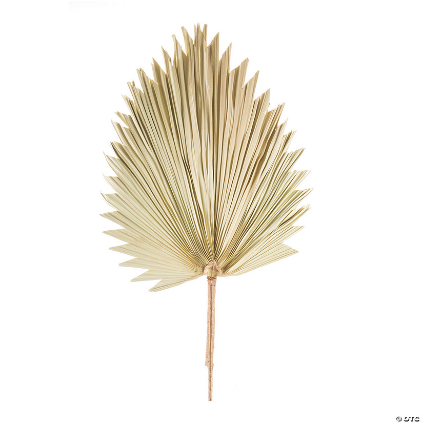 Melrose International Fan Palm Leaf (Set Of 6) 42In Image
