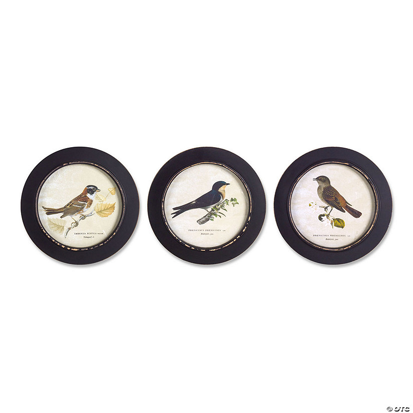 Melrose International Framed Bird Art Print, 9.5 Inches (Set of 3) Image
