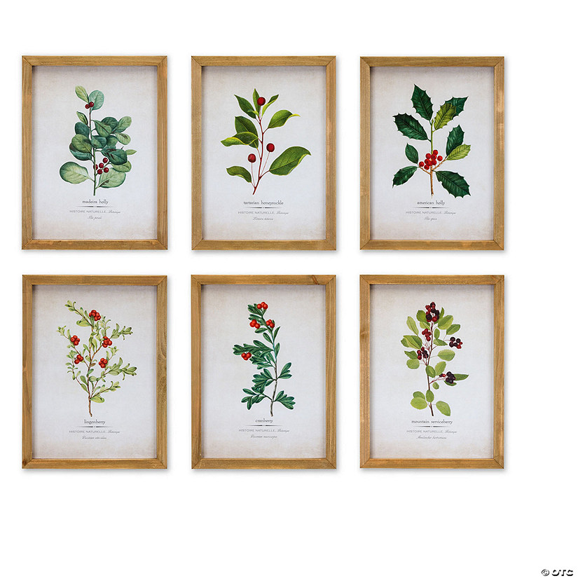 Melrose International Framed Winter Foliage Art Prints (Set of 6) Image