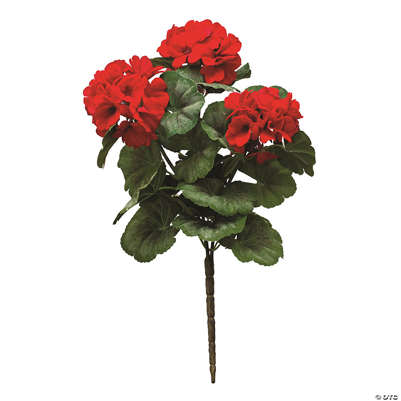 Melrose International Geranium Bush (Set of 2) Image