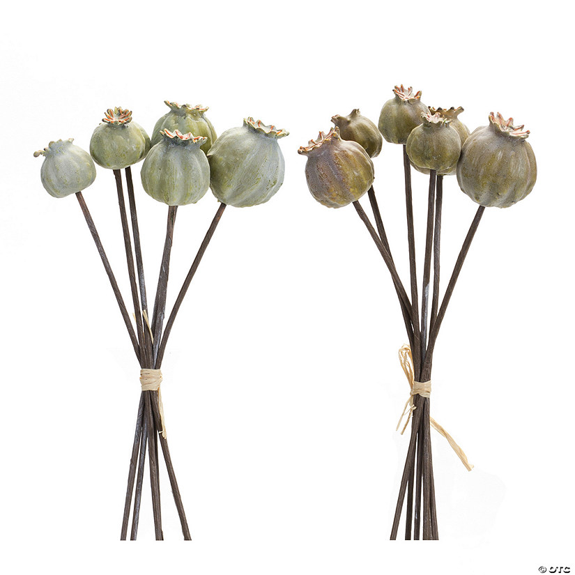 Melrose International Poppy Pod Bundle (Set Of 6) 10.5In Image