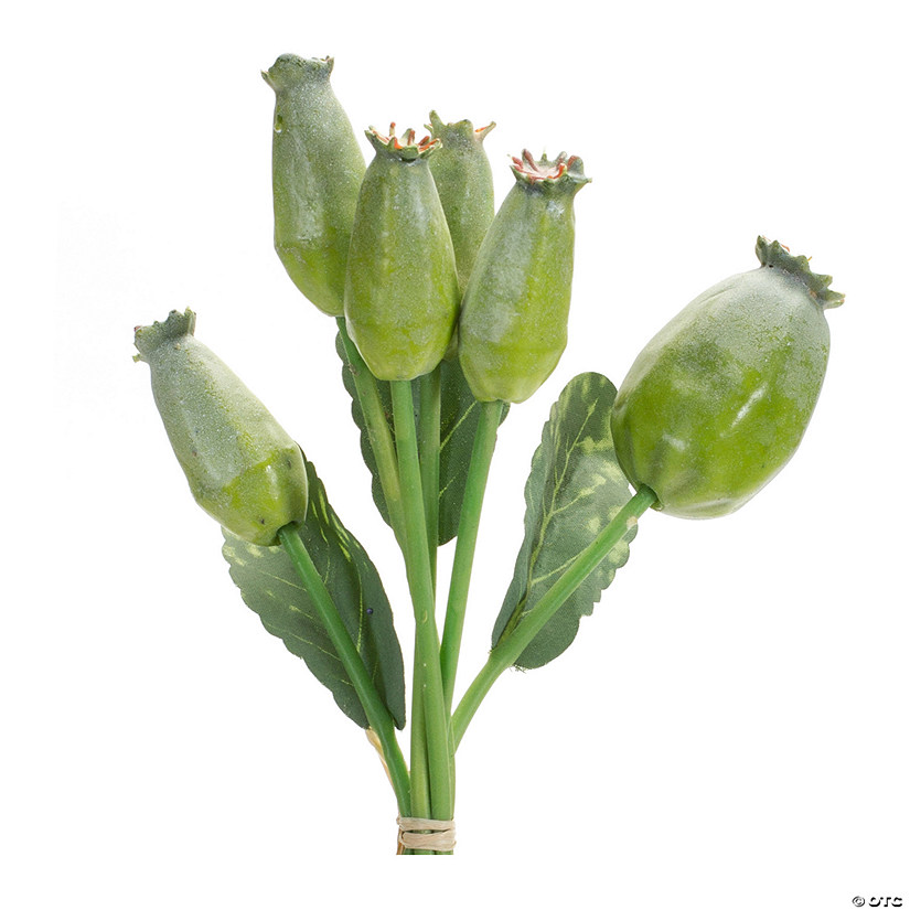 Melrose International Poppy Pod Bundle (Set Of 6) 9.5In Image