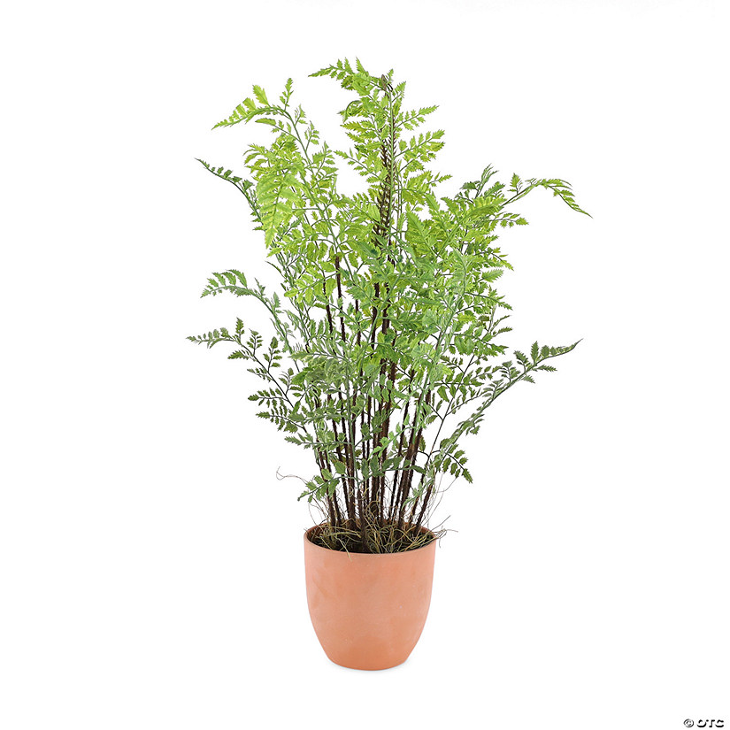 Melrose International Potted Fern Plant (Set Of 3) 30In Image