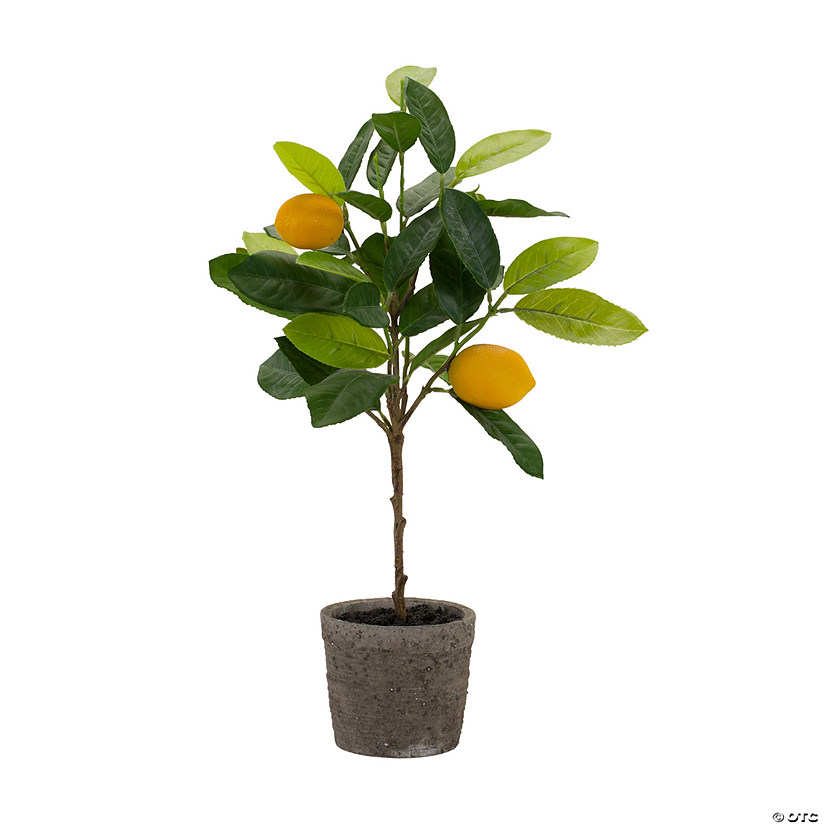Melrose International Potted Lemon Tree (Set Of 2) 19.5In Image