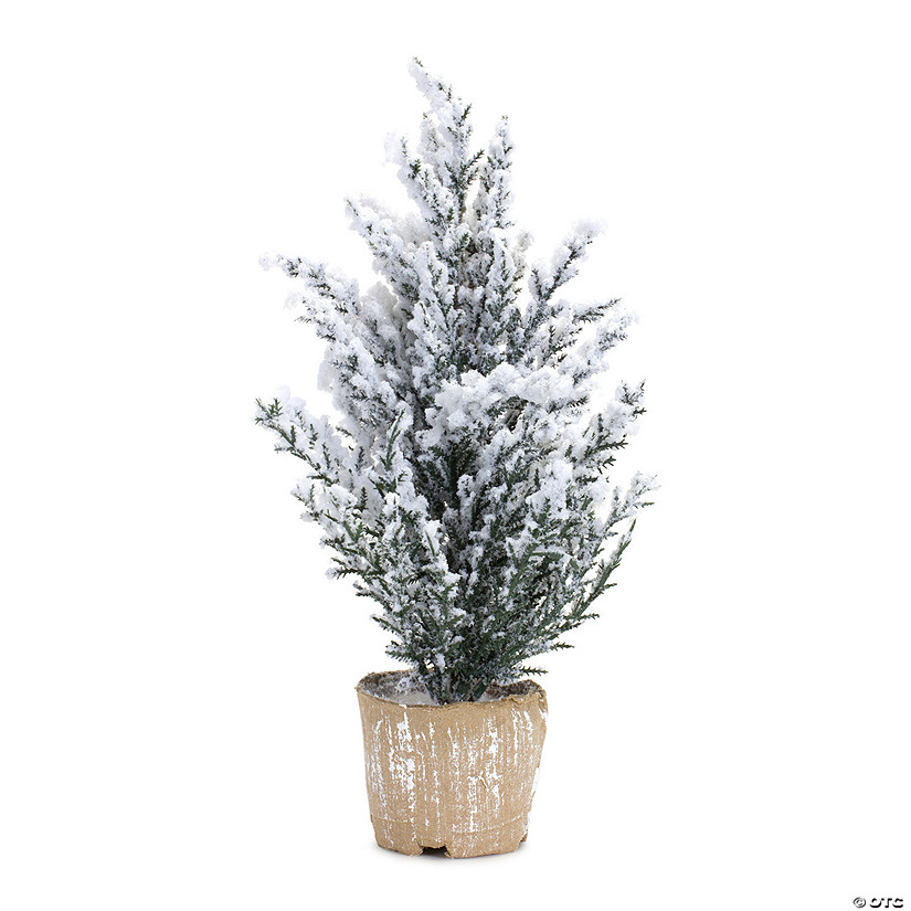 Melrose International Potted Snowy Pine Tree (Set Of 6) 12In Image