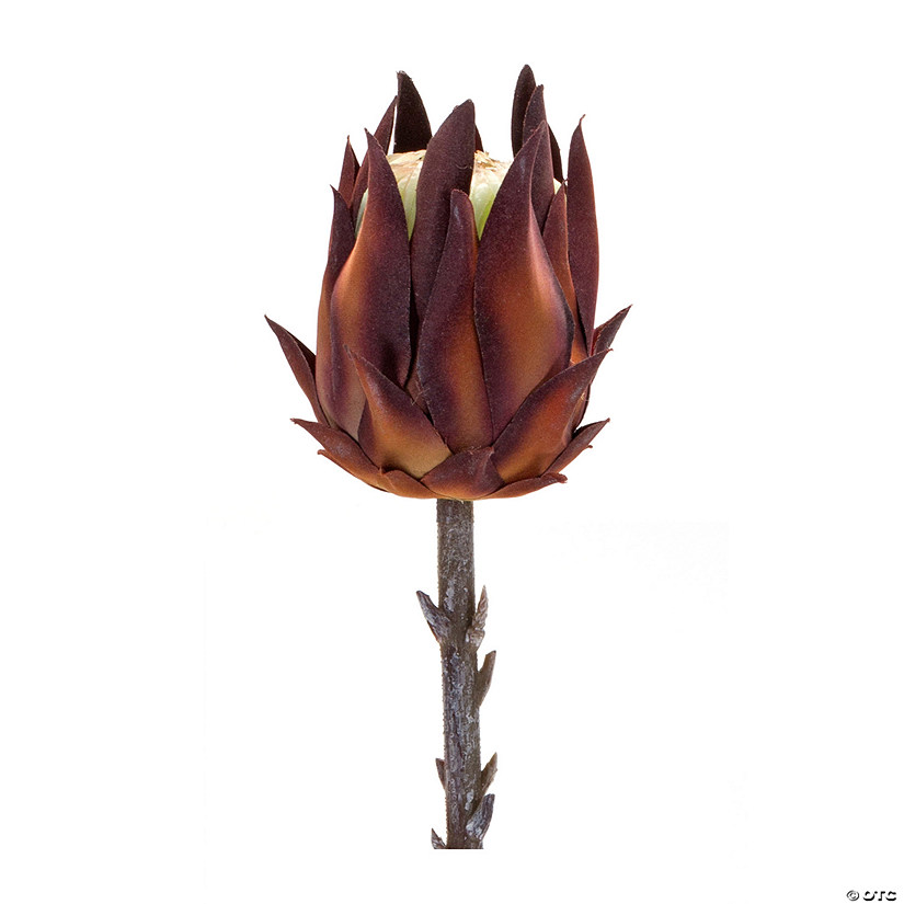 Melrose International Protea Stem (Set Of 6) 19.75In Image