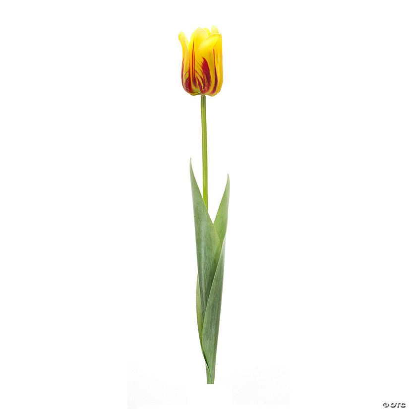 Melrose International Tulip Stem (Set Of 6) 27In Image