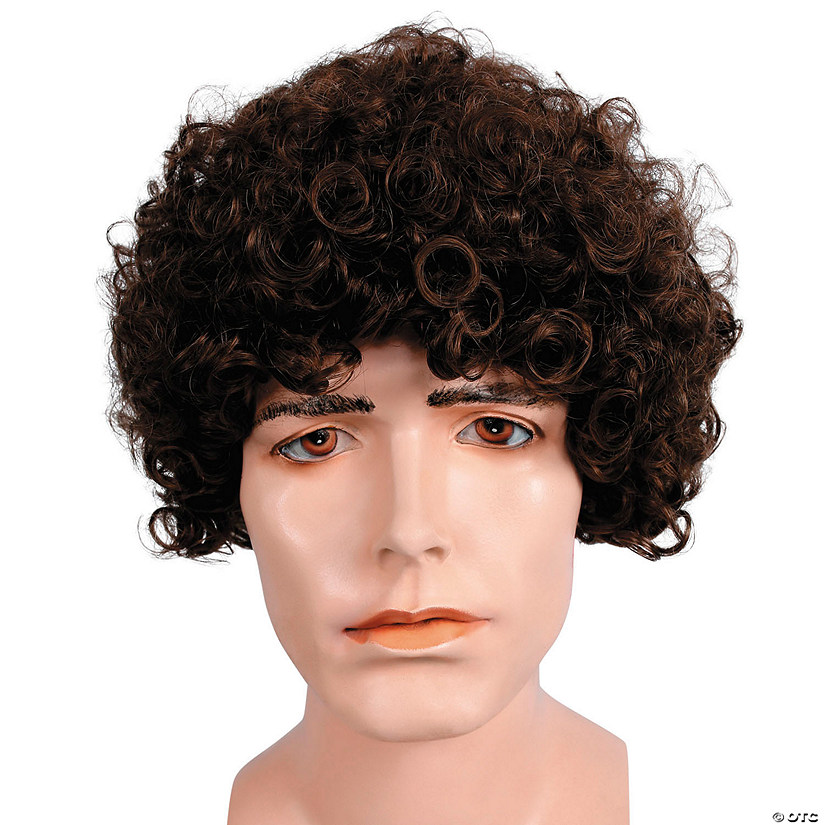 Men's Curly Wig Image