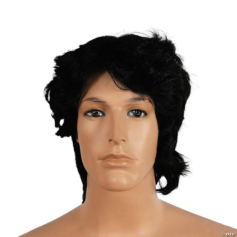 Men's Shaggy Wig Image