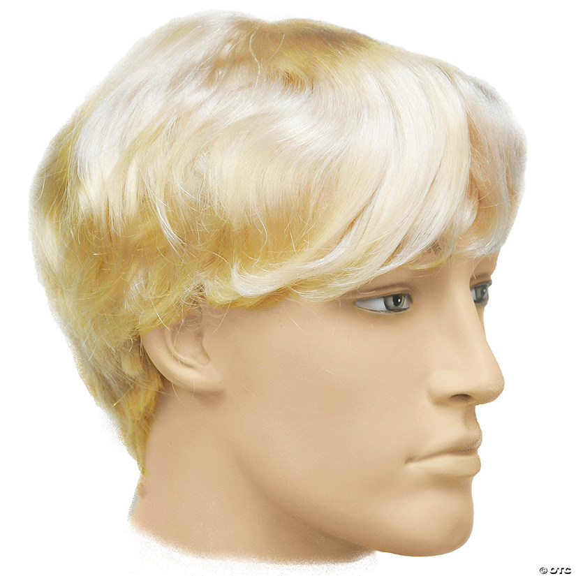 Men's Special Bargain Beatle Wig Image