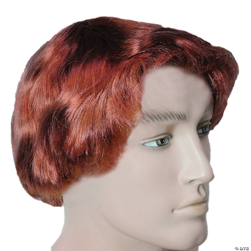 Men's Straight Wig Image