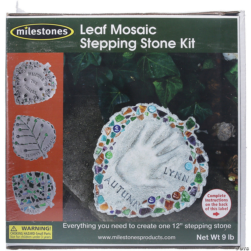 Pack of 2 Midwest Products Inspiration Stepping Stone Kit 