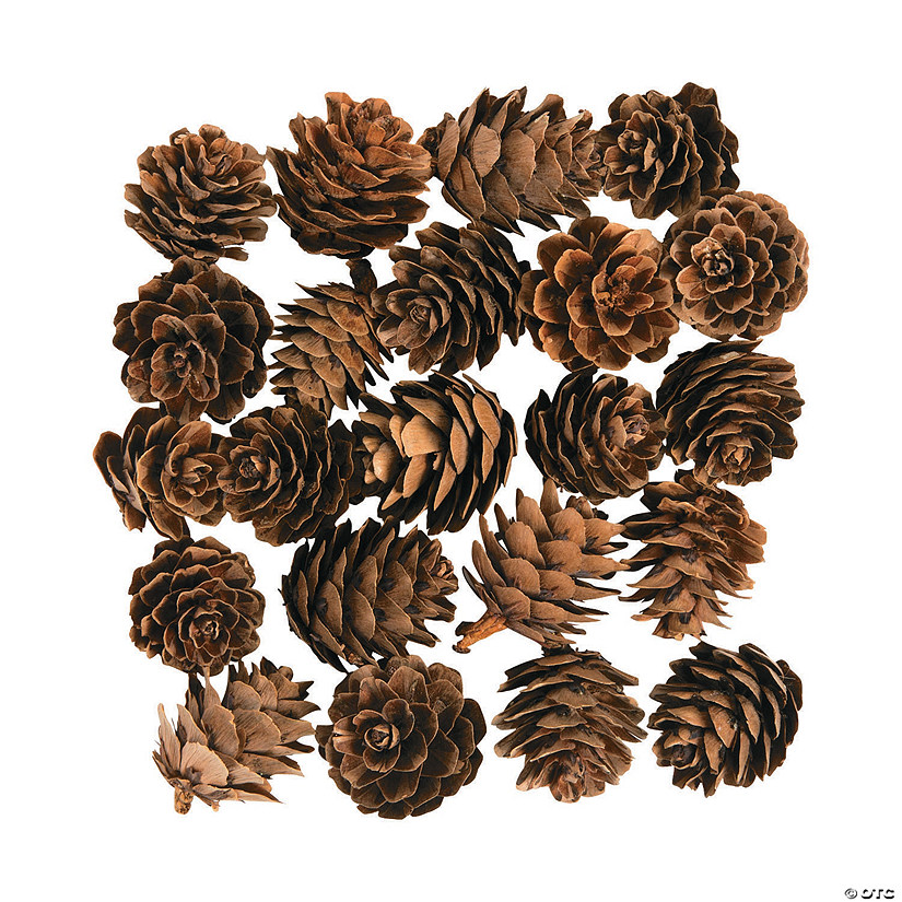 Mini Pinecones | Oriental Trading