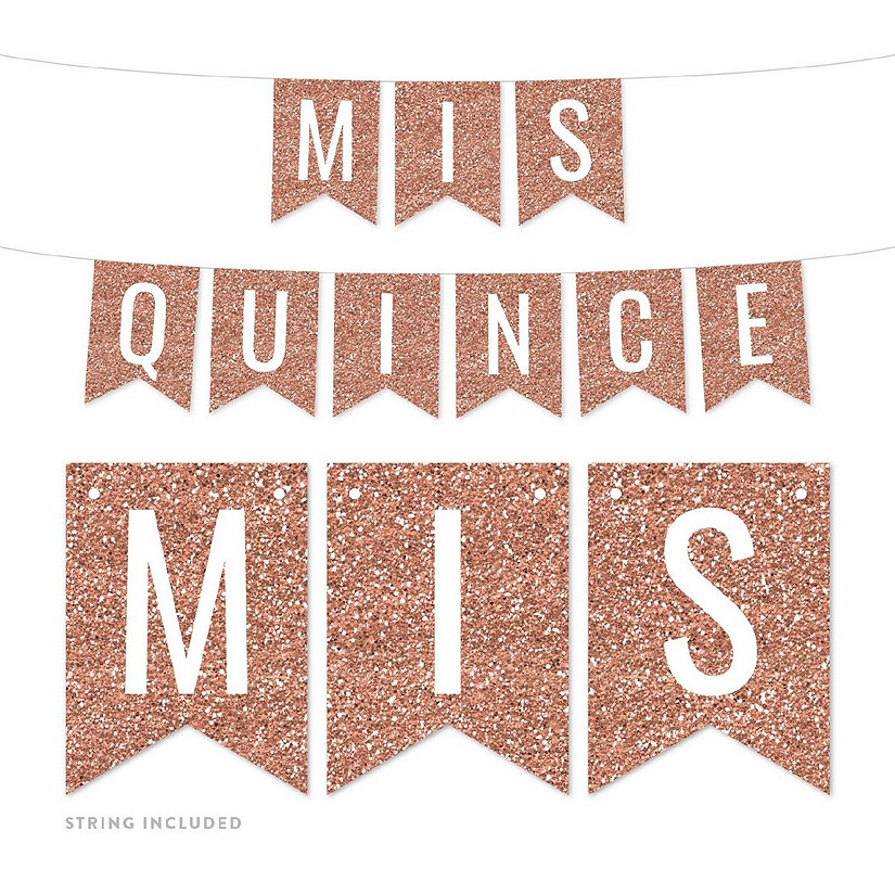 Mis Quince 4x5.5IN Banner Image