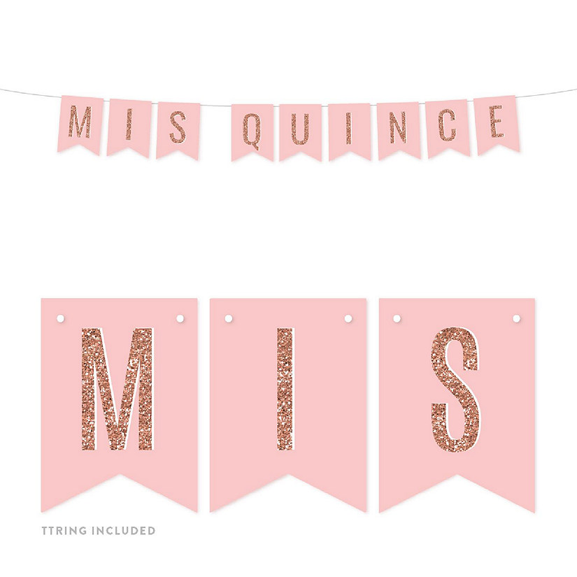 Mis Quince 4x5.5IN Banner Image