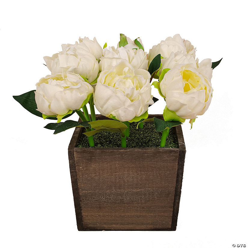 National Tree Company  10" White Peony Flowers In Wood Box Image