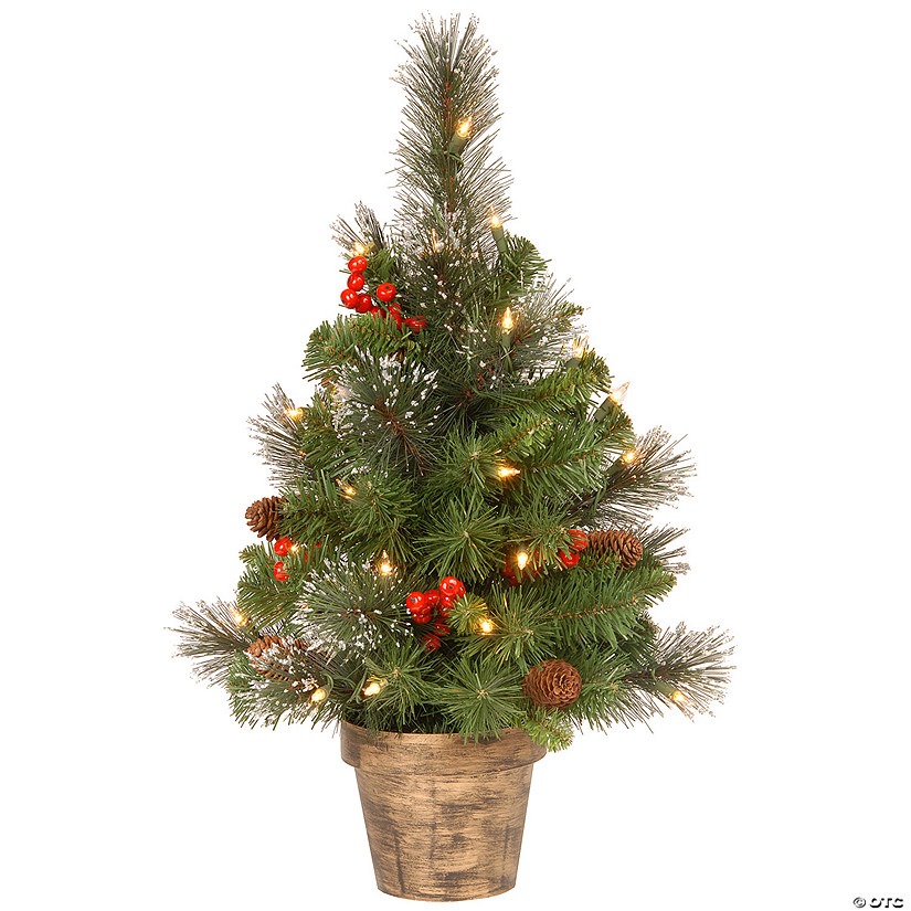 National Tree Company 2 ft. Crestwood Spruce Tree with Clear Lights Image