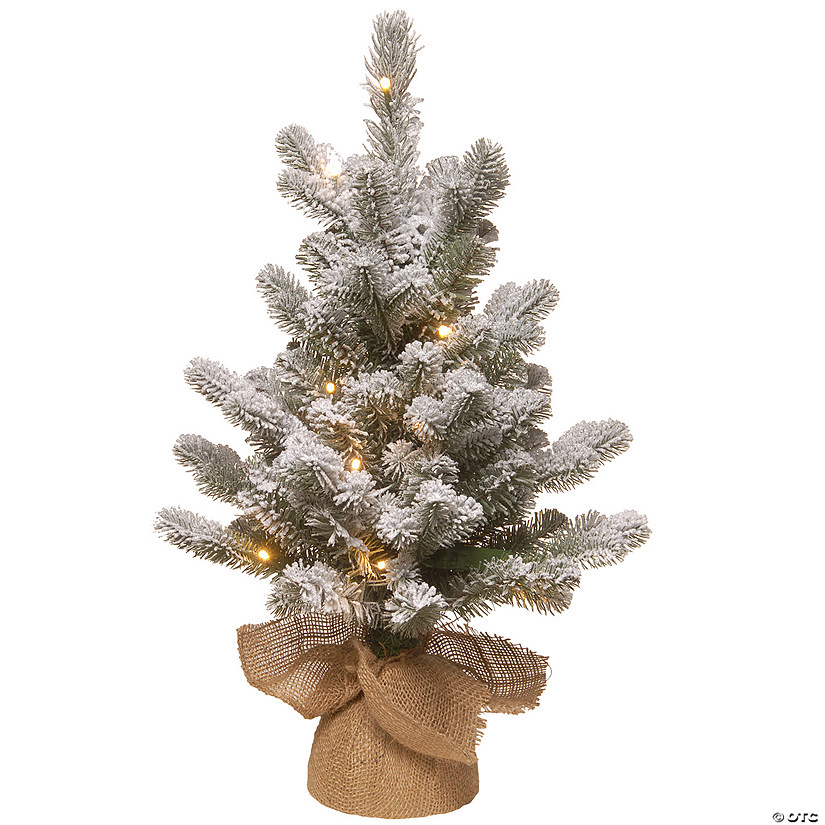 National Tree Company 2 ft. Snowy Sheffield Spruce Tree with Battery Operated Lights Image