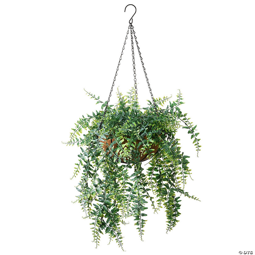 National Tree Company 21" Hanging Basket with Fern Leaves Image