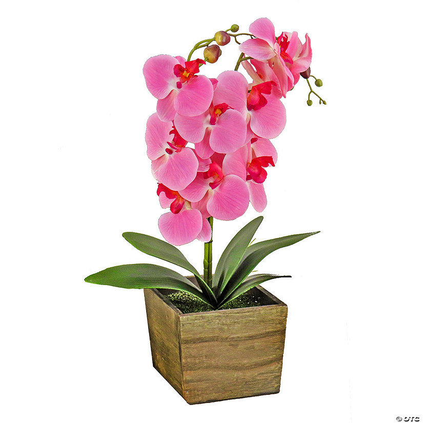 National Tree Company 21" Pink Orchid Flower In Wood Box Image