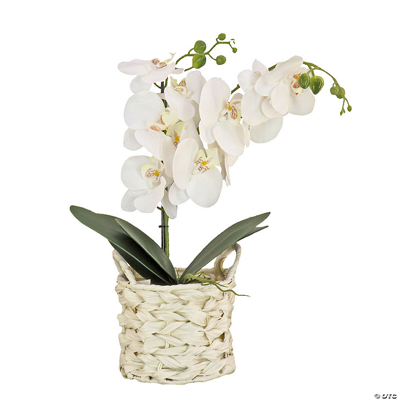 National Tree Company 21" White Orchid Flower In White Basket Image