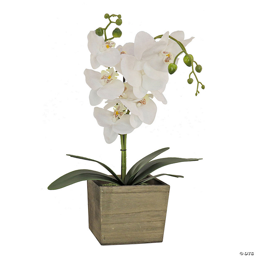 National Tree Company 21" White Orchid Flower In Wood Box Image