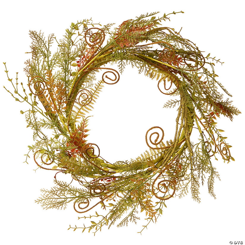 National Tree Company 22" Fern Wreath Image