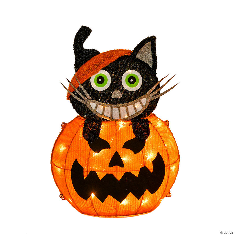 National Tree Company 23 in. Pre-Lit Pumpkin and Black Cat Image