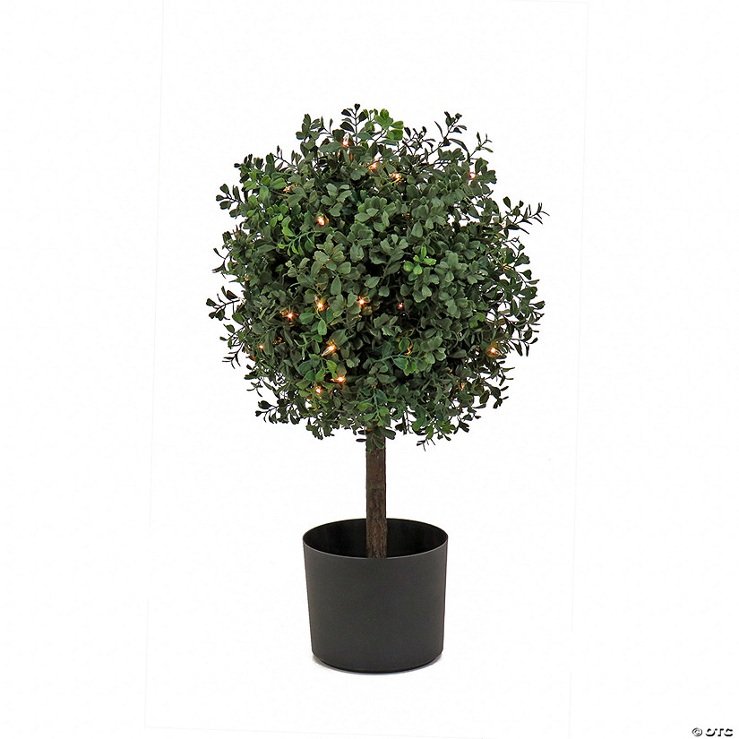National Tree Company 24" Boxwood Single Ball Topiary in Black Plastic Nursery Pot with 50 Clear Lights- UL- A/C Image