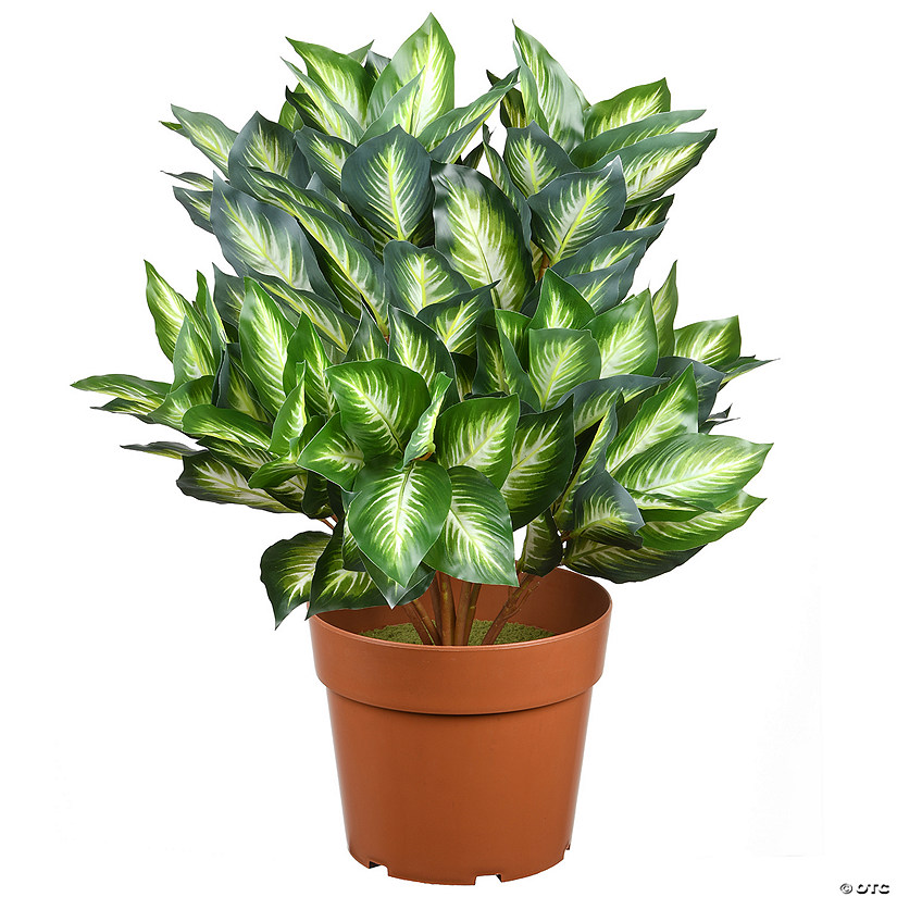 National Tree Company 24" Hosta Plant in 8.5x7.5x6.5" Brown Round Growers Pot Image