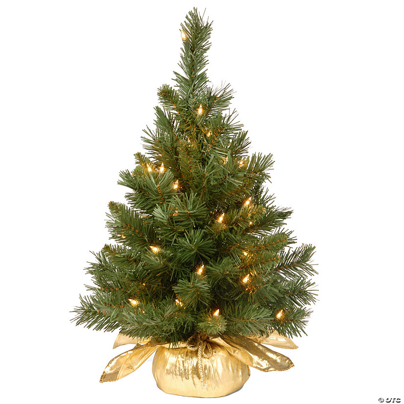 National Tree Company 24" Majestic Fir Tree with Clear Lights Image