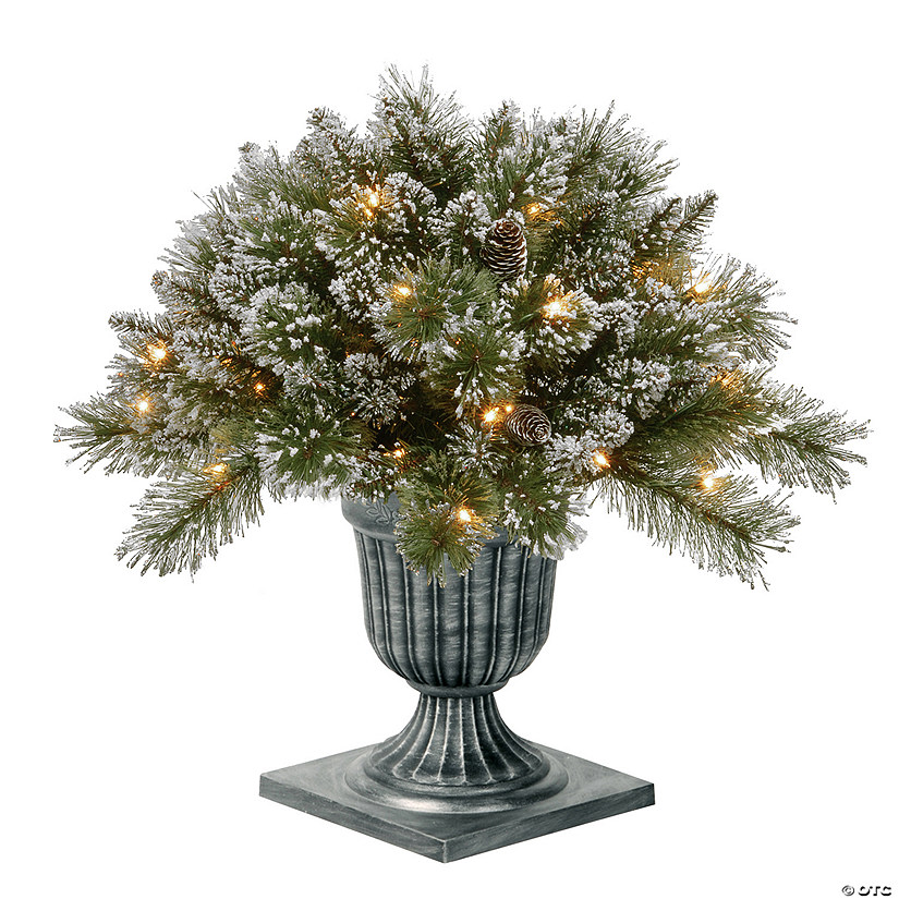 National Tree Company 24" Pre Lit Artificial Shrub, Glittery Bristle Pine, Decorated with Frosted Branches, Pine Cones, Twinkly LED Lights, Includes Stylish Black Base, Plug In, Christmas Collection Image