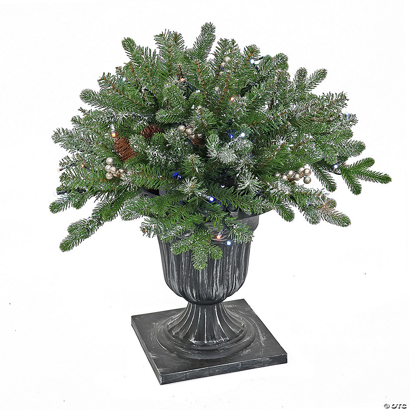 National Tree Company 24" Snowy Morgan Spruce Porch Bush with Twinkly LED Lights Image