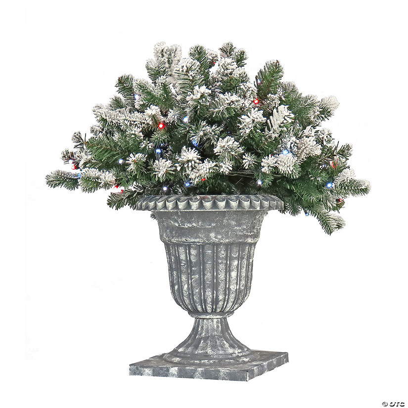 National Tree Company 24" Snowy Sheffield Spruce Porch Bush with Twinkly LED Lights Image