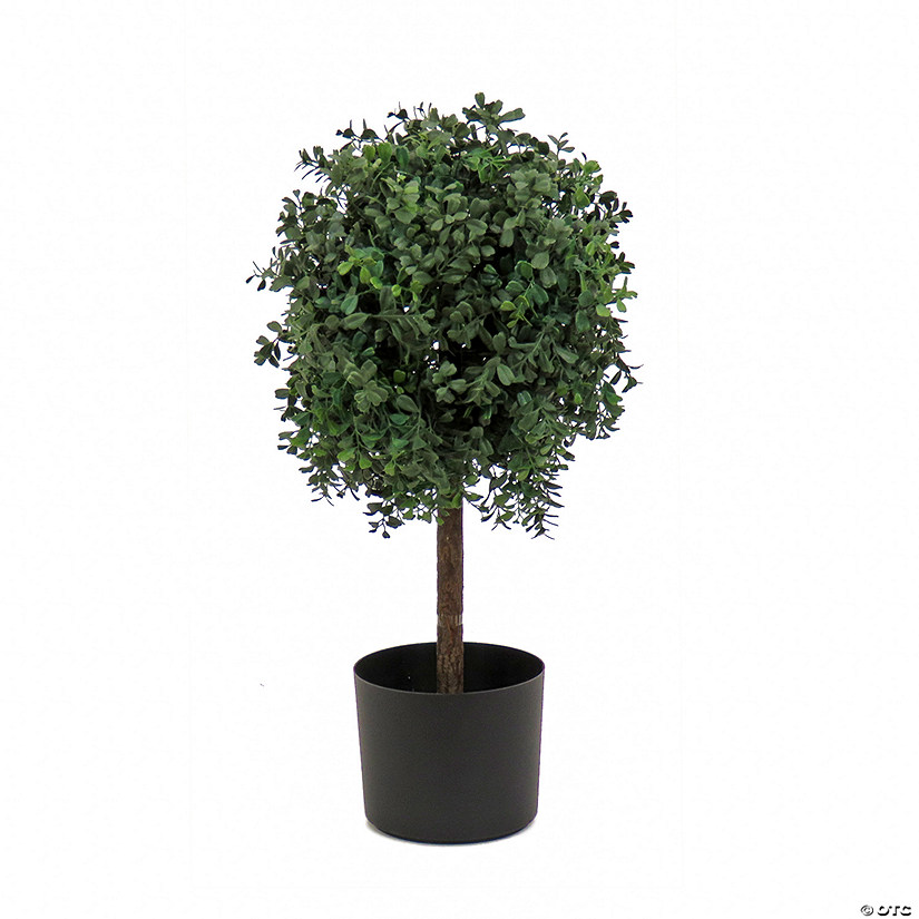 National Tree Company 24"Boxwood Single Ball Topiary in Black Plastic Nursery Pot Image